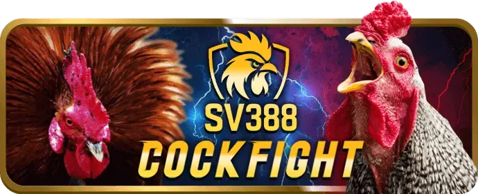 Cá cược Thể Thao dkbet8
